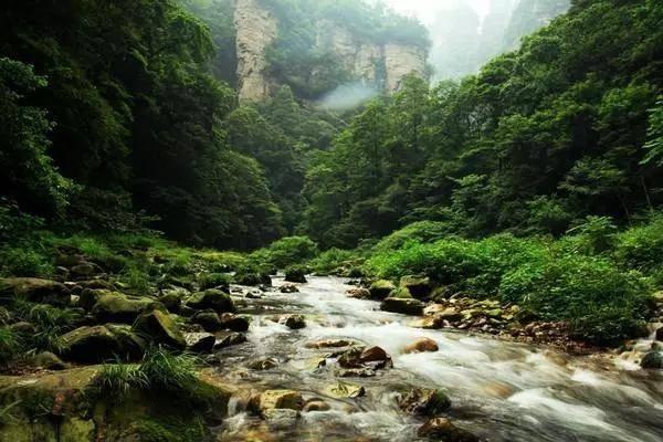 吉伦沃特砍37分5篮板1助攻，山东男篮主场98-102不敌新疆男篮
